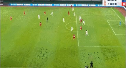 1691501929055043207.gif 茹子楠.gif